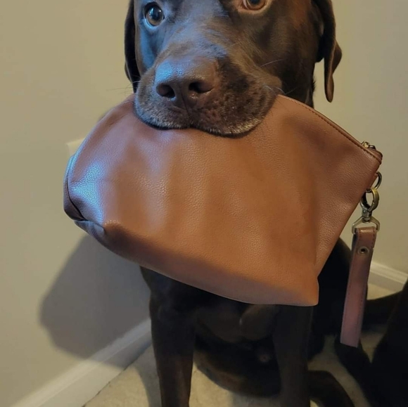 Tapered pouch - Picture 5 of 7